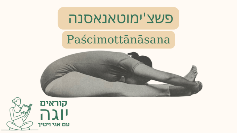 youtube thumbnail (87)