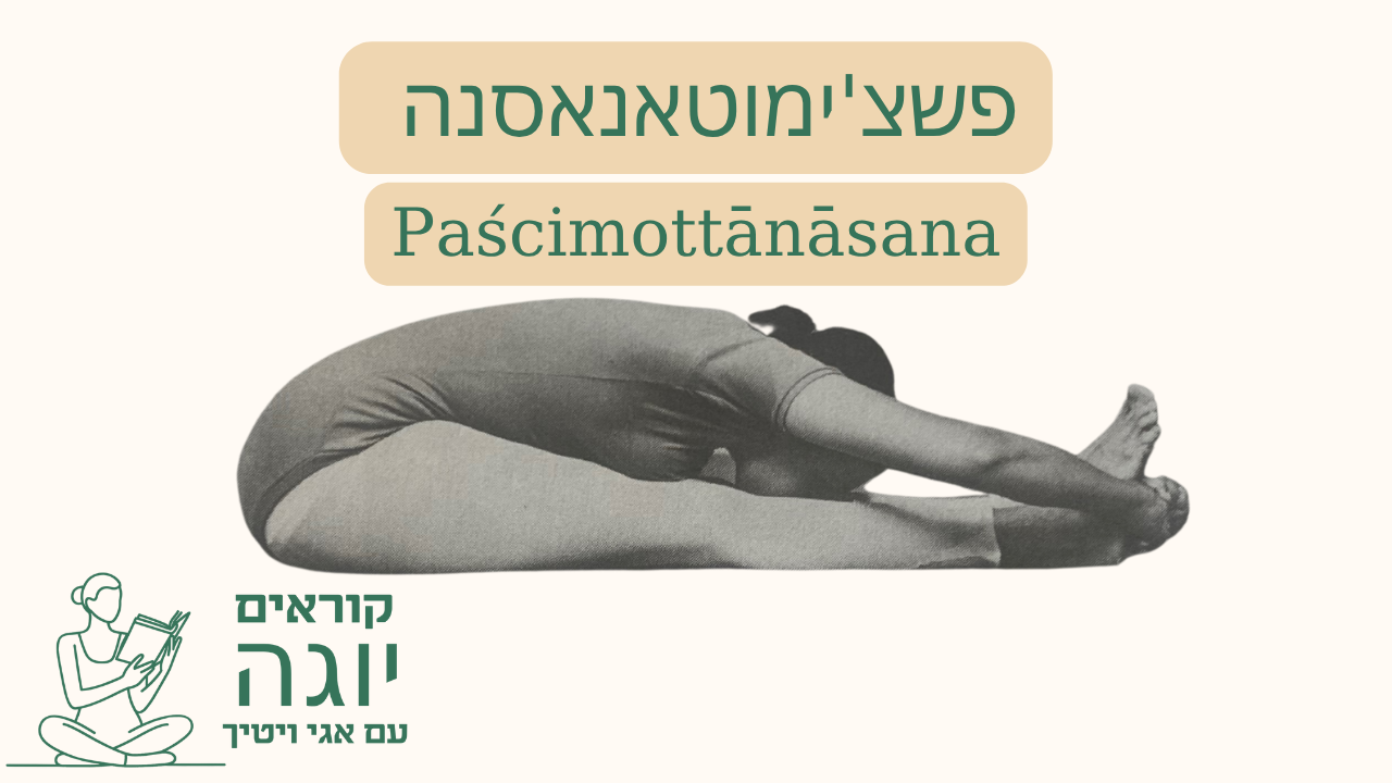 youtube thumbnail (87)